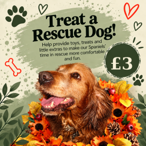 Treat a Rescue Dog!