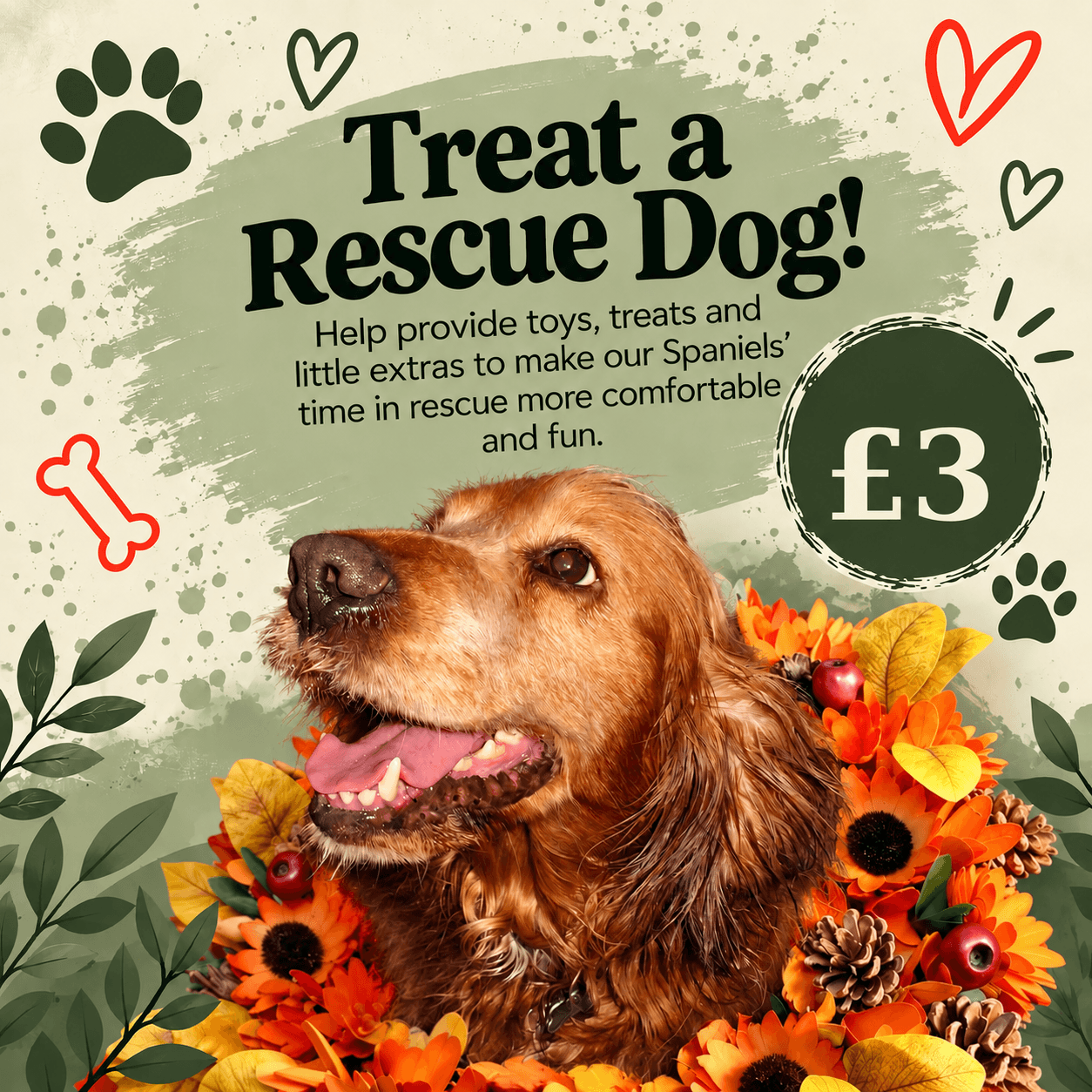 Treat a Rescue Dog!