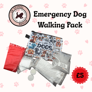 The "Oh No!" Kit: Your Emergency Dog Walking Essential
