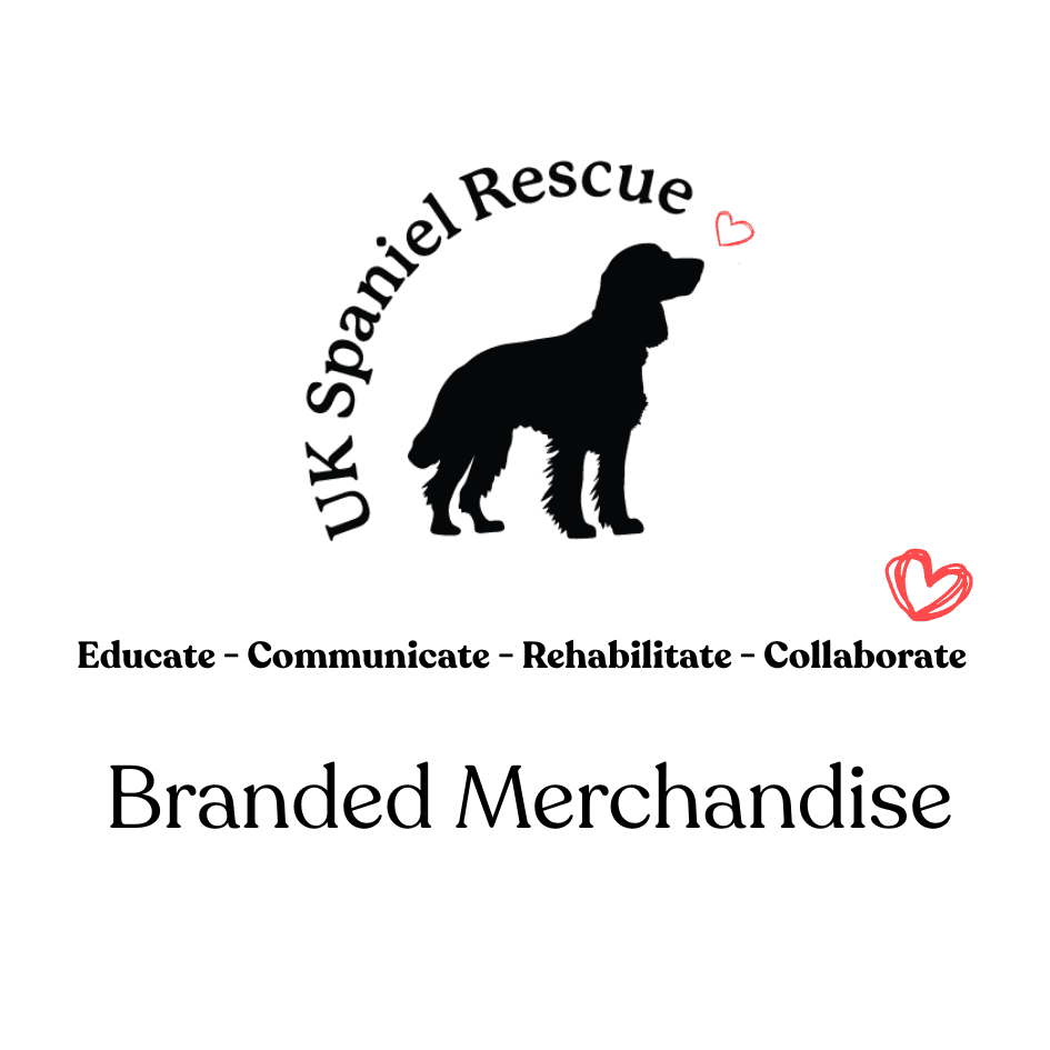 Branded merchandise link