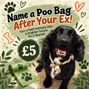 Name a Poo Bag After Your Ex!