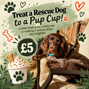 Treat a Rescue Dog To a Pup Cup!
