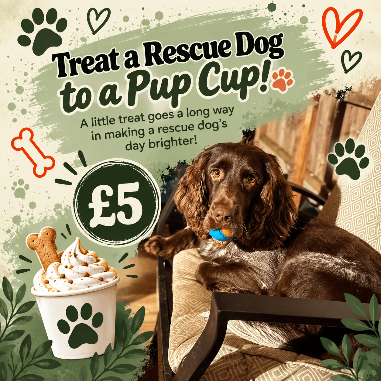 Treat a Rescue Dog To a Pup Cup!