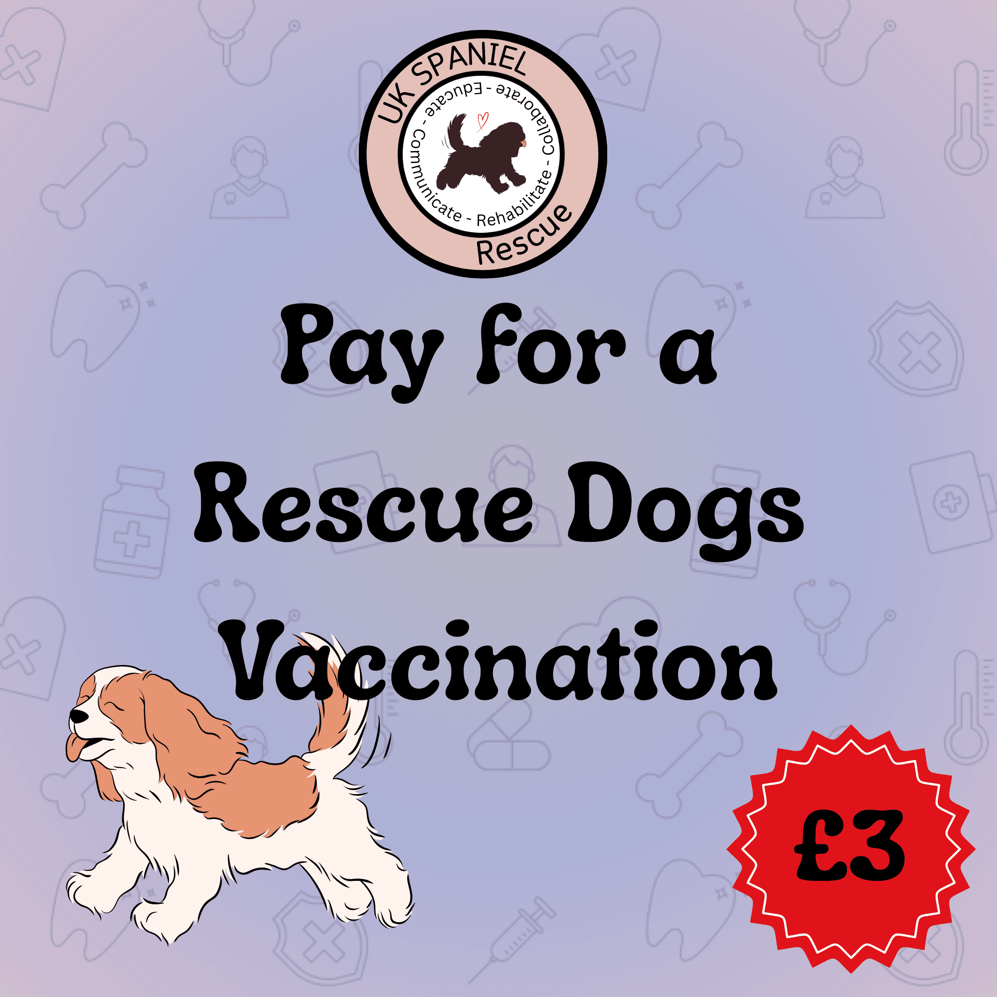 An image showing the title Pay For a Rescue Dogs Vaccination at £3. An animated image of a happy Spaniel and the UK Spaniel Rescue logo