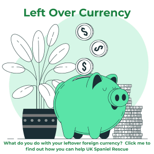 Left Over Currency UK Spaniel Rescue logo