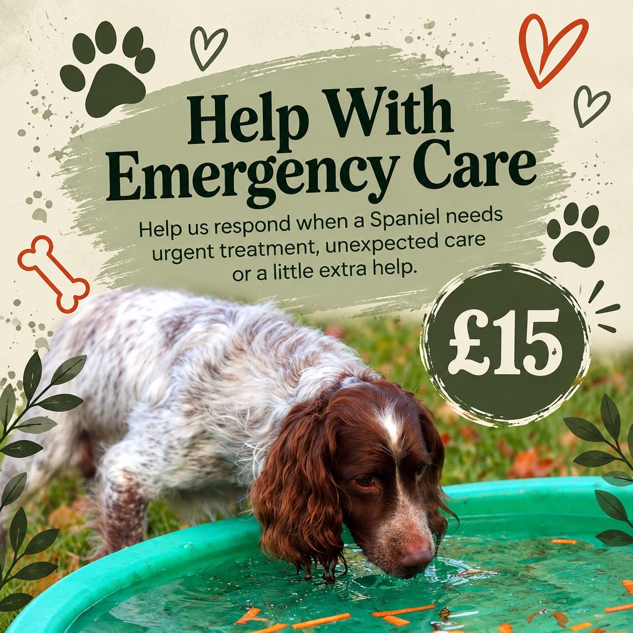 Help With Emergency Care