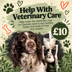 Help With Veterinary Care