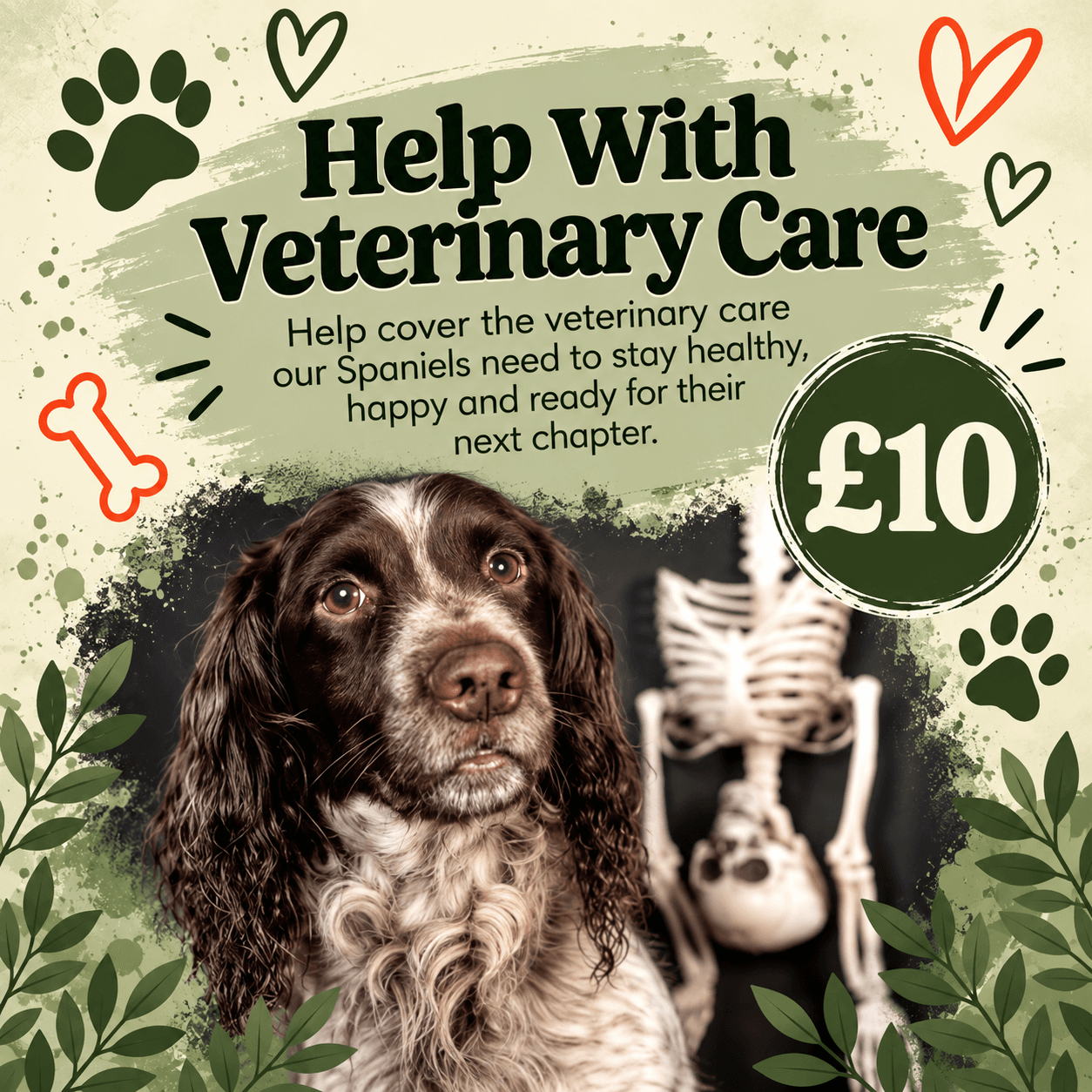 Help With Veterinary Care