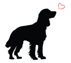 UK Spaniel Rescue