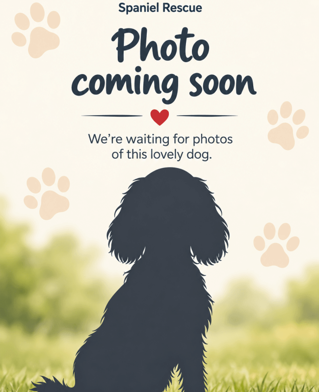 IMAGE PLACE HOLDER PORTRAIT